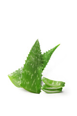 aloe véra sur fond blanc, aloès plante grasse, cosmétique naturel
