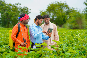 Fototapeta premium Young indian agronomist or banker showing some information to farmer in tablet at agriculture field.