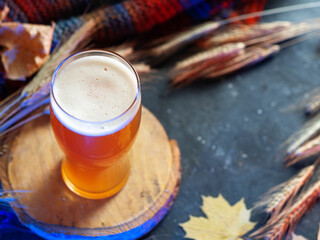 A glass of craft beer pumpkin ale top view, ears of rye, knitted scarf, autumn decor. Copy space,...