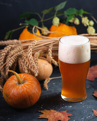 Pumpkin ale, craft seasonal beer in a glass. Ripe pumpkins, ears of wheat, green cones of hops....