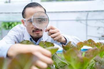 scientist working to research in agriculture green plant at biology science laboratory greenhouse,...