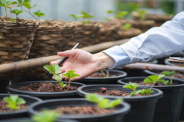 scientist working to research in agriculture green plant at biology science laboratory greenhouse, organic experiment test for medical food biotechnology, botany ecology biologist in farming growth