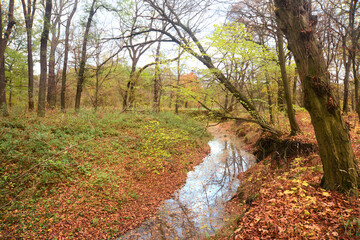 Landschaft 921