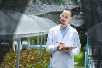 scientist working to research in agriculture green plant at biology science laboratory greenhouse,...