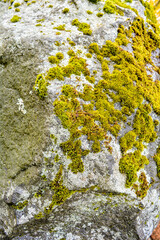 Ancient stone surface with moss and lichen