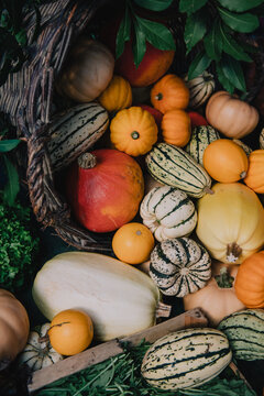 Panier de courges du march&eacute;