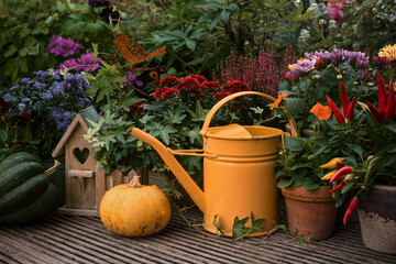 Autumn Thanksgiving decor in garden