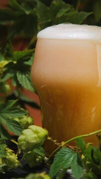 Vertical frame 5x slow motion beer pouring outdoor