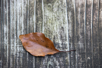 木のテーブルの上に置かれた茶色の落ち葉　背景　余白　