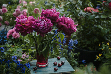 Peonies in a vase in the garden