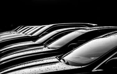 Black sedan cars standing in a row. Fleet of generic modern cars. Transportation. Luxury car fleet...