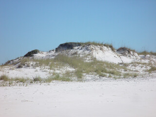 Grass pm Sand Dimes at the shore