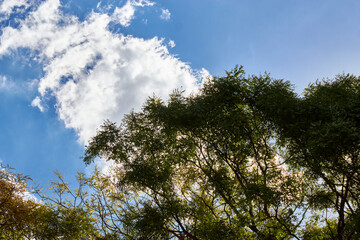 Obraz premium Buenos Aires