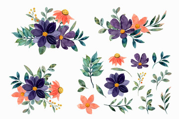 Watercolor floral elements and arrangement collection