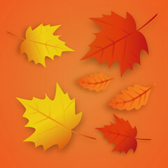 autumn leaves background