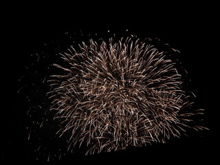 Fireworks in the night sky