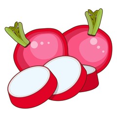 Radish for banners, flyers, posters, cards. Whole radishes and slices of radish. Fresh organic, healthy, vegetarian vegetables. Cartoon style radish. Vector illustration isolated on white background