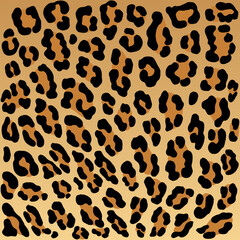 Leopard seamless pattern, vector design and isolated background seamless.