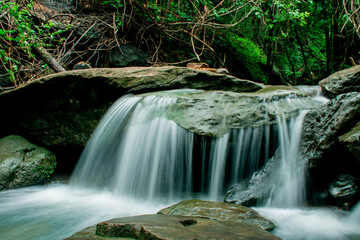 small waterfall with clear water amidst green nature.