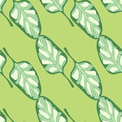Seamless pattern Spinach salad on pastel green background. Modern ornament with lettuce.