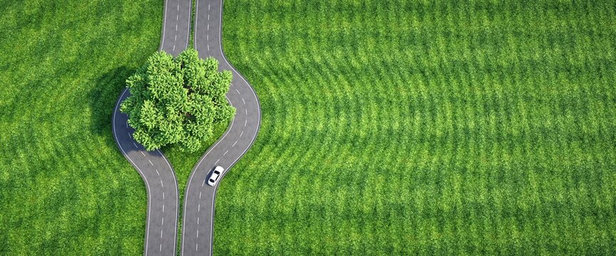 Sustainable road surrounding a centenary tree. Vehicle driving between green field. 