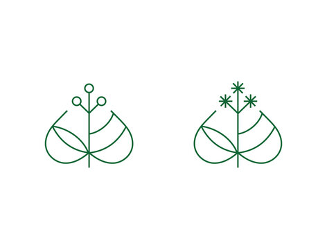 Logo sign line green linden tilia cordata leaf Identity