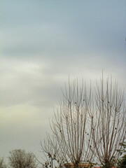 &ldquo;Clouds come floating into my life, no longer to carry rain or usher storm, but to add color to my sunset sky.&rdquo;