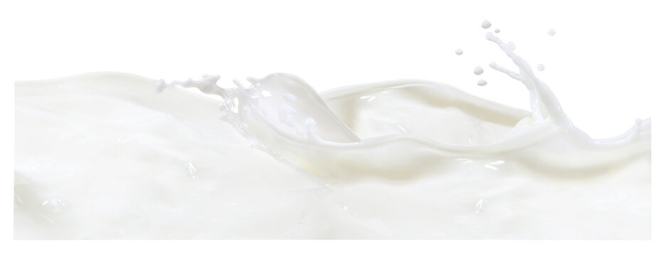 Splash de leite em fundo branco para recorte.
