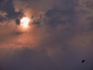 “Clouds come floating into my life, no longer to carry rain or usher storm, but to add color to my sunset sky.”