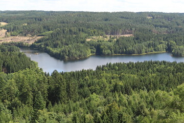 Fototapeta na wymiar the river winds between the landscape with forests, top view
