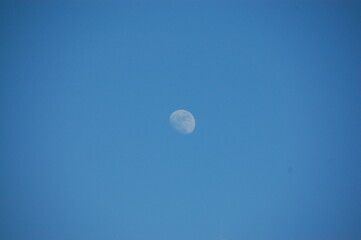 昼間の月