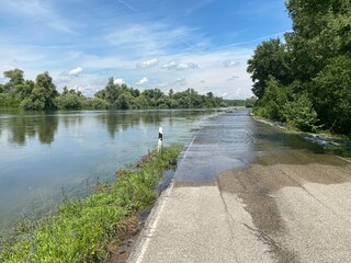 Hochwasser am Rhein - Überflutete Straße