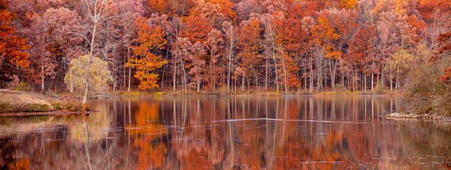 panoramic view of bright autumn trees with reflections in the lake in Michigan countryside