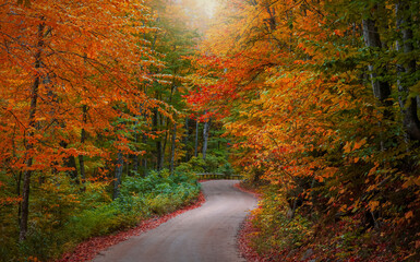Bright autumn trees along scenic byway Little Beaver lake road in Michigan upper peninsula