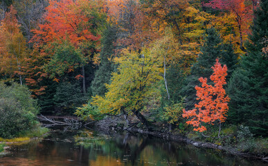 Colorful autumn trees and its reflection in water along Dead river in Michigan Upper peninsula