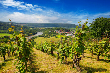 Fototapeta na wymiar The Neckar Valley, View from the Michelsberg, Gundelsheim, Baden-Württemberg in Germany, Europe