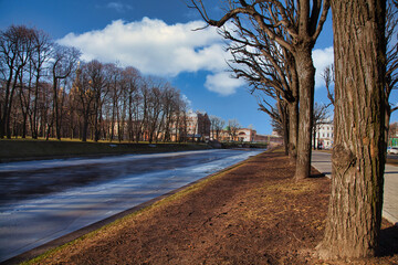 landscape with trees