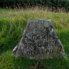 Culloden battlefield, headstone for Clan Stewart of Appin. Blue flower placed on top of headstone. Surrounding long grass.