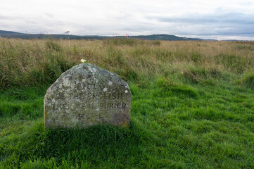 Headstone at Culloden battlefield in Scotland with inscription: Field of the English they were buried here. Wilting white rose placed on top of headstone. In distance red flag denotes English lines.