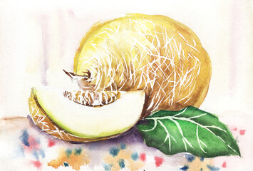 Ripe juicy melon, yellow rind. A whole fruit and a cut wedge lie on a colorful tablecloth. Hand drawn watercolor illustration still life.