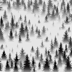 Fototapeta premium Fir forest in morning fog. Coniferous evergreen trees on square background. Postcard, poster advertising forest recreation, summer camp, tourism, print. Abstract vector illustration