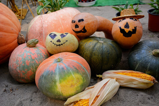 Various varieties of pumpkins with scary faces painted on the straw. Halloween. Farm