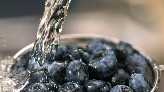 Fresh blueberries are washed in the colander. Water drops splash. .