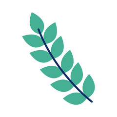 Plant leaf icon
