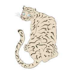 Chinese new year 2022 year of blue tiger vector illustration isolated on white. Year of water tiger.