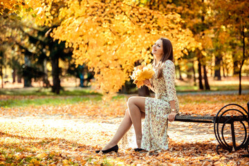 Carefree young girl in a dress with a bouquet of yellow leaves in her hands sits on a bench in an...