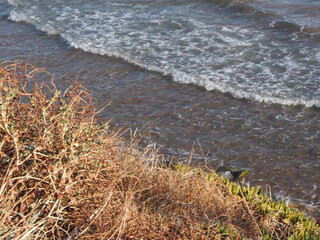 waves on the beach
