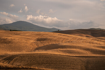 Toskański krajobraz