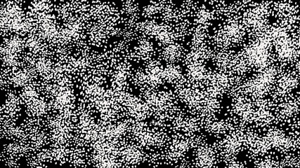Black noise texture. Static interference grunge vector background.
