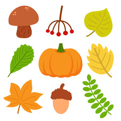 Set of different autumn natural elements. Fall leaves, mushroom, berries, acorn and pumpkin. Vector illustration in cartoon flat style. Print for stickers, seasonal design and decor